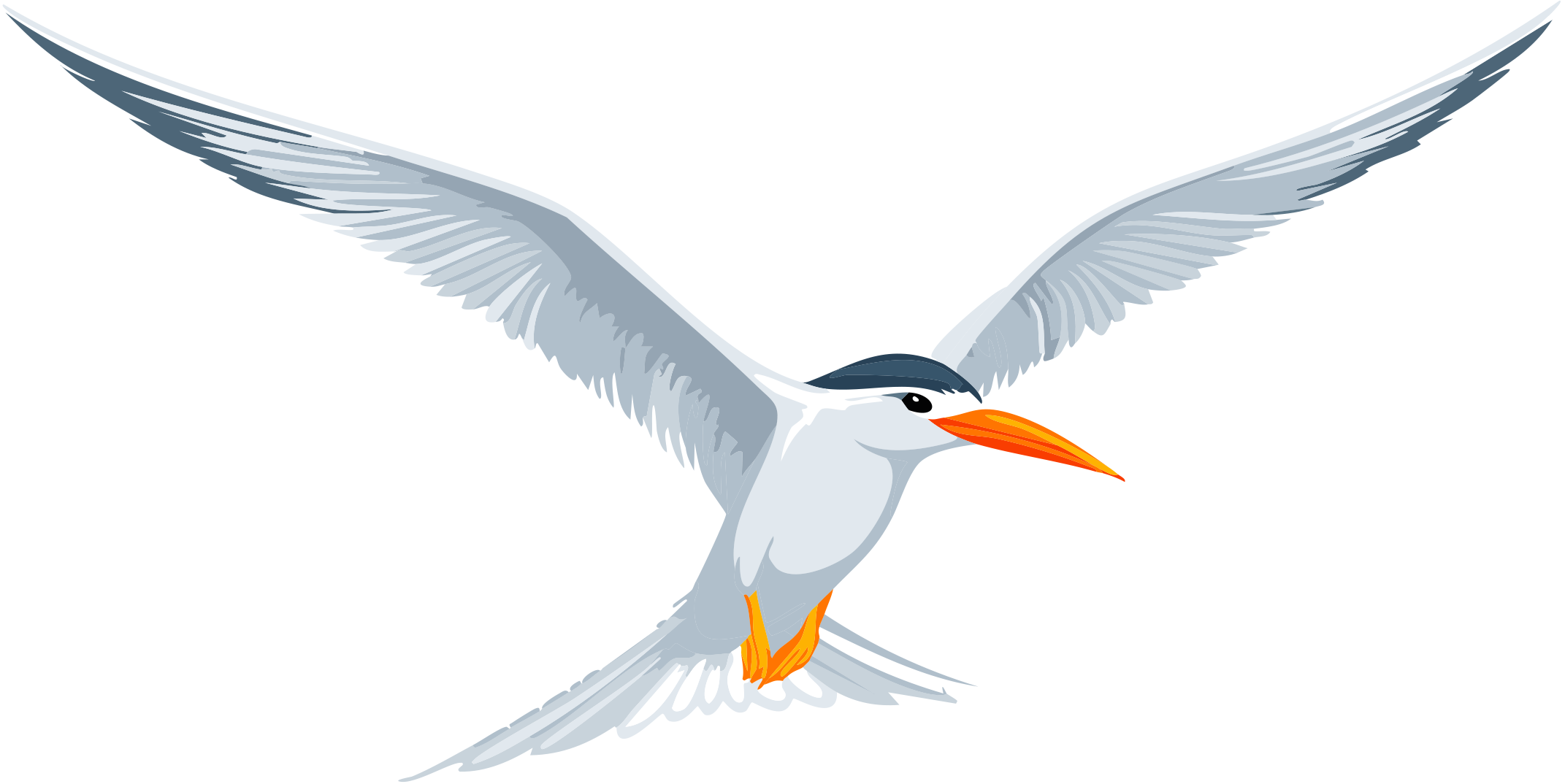 Seabird Online Services Logo